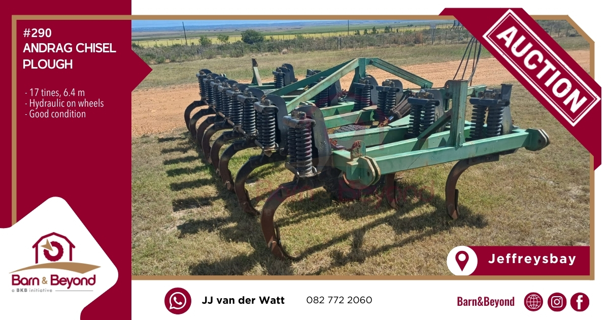 ANDRAG Chisel Plough (#290)