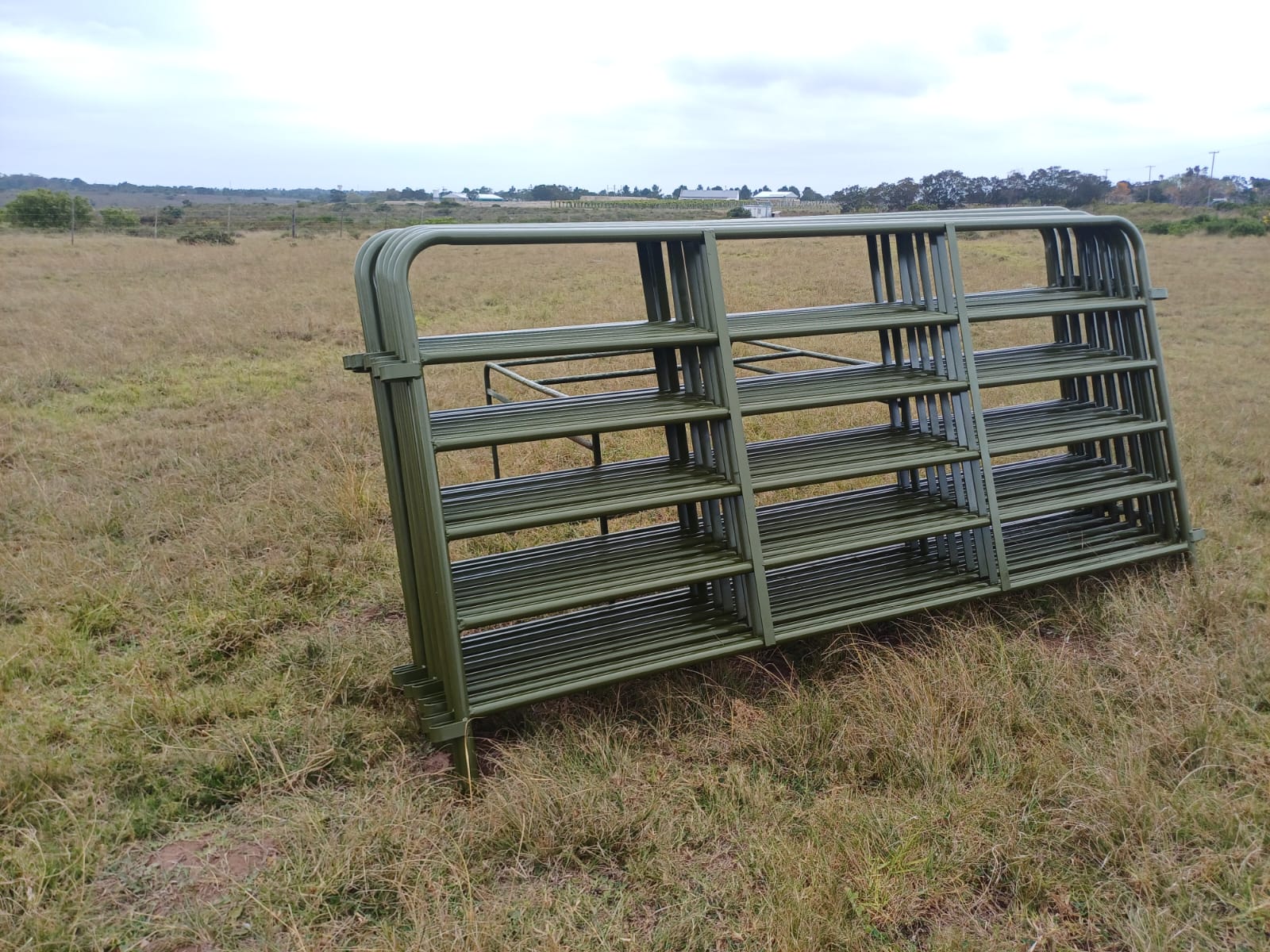 Cattle Gates + Pins (#225A) - Image 3