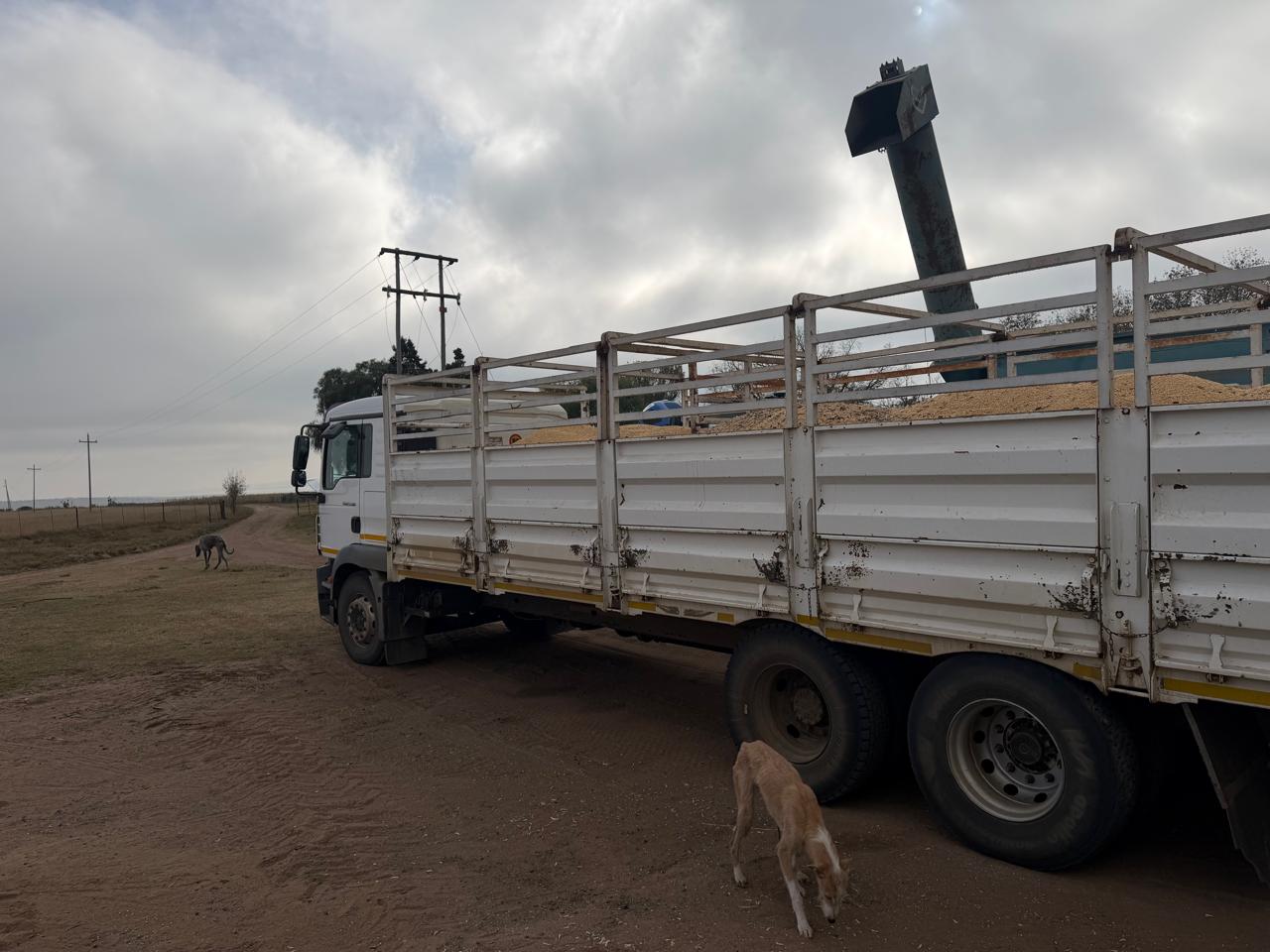 2012 MAN LORRY DOUBLE AXLE TGM 25.280 - Image 2