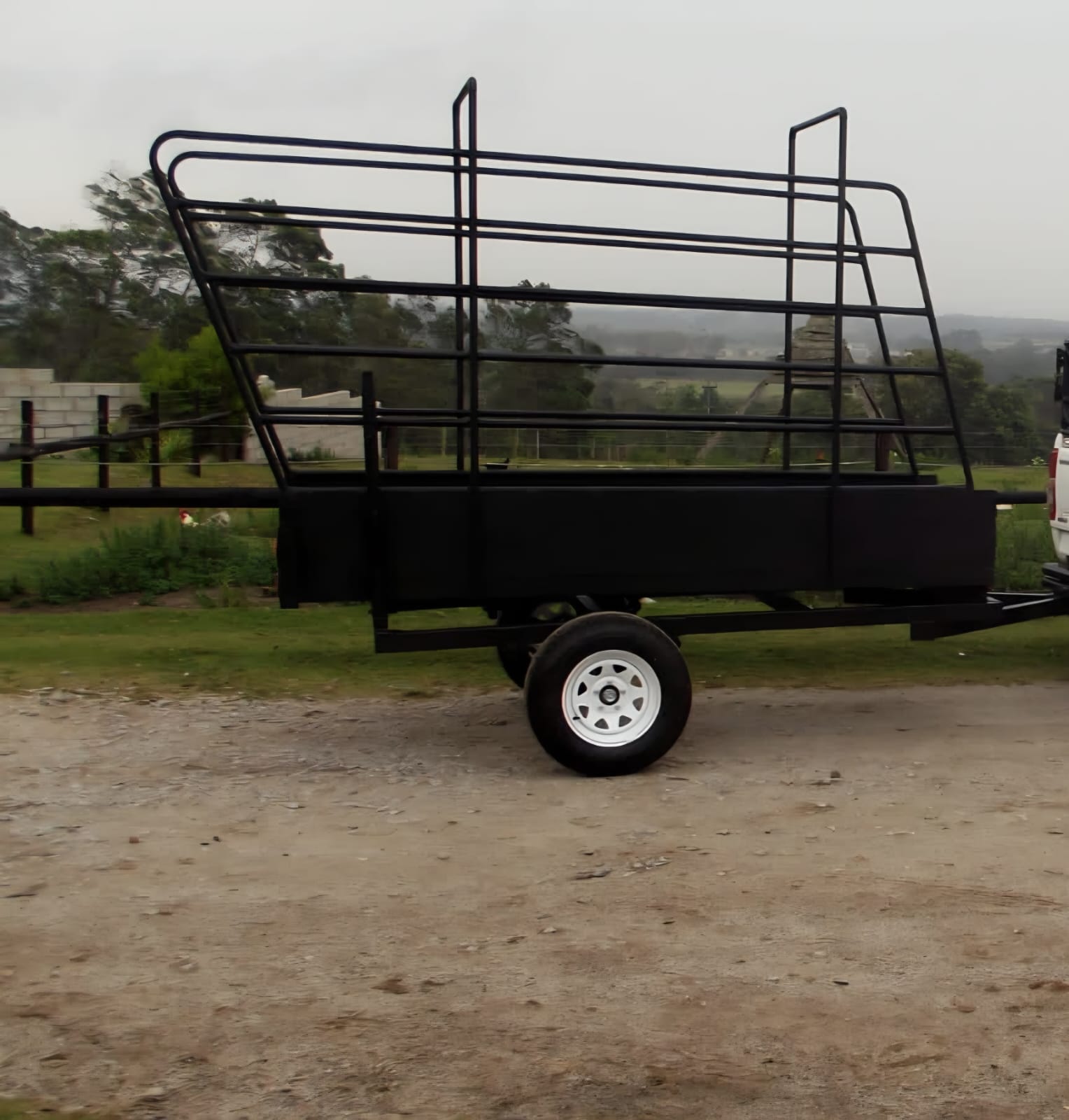 Mobile Cattle Loading Ramp with 12 Cattle Gates - Image 2