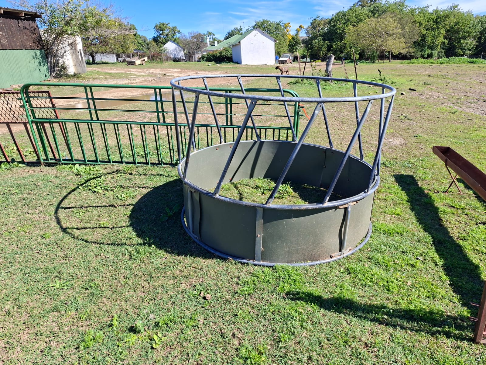 Galvanised Cattle Feed Ring - Image 3