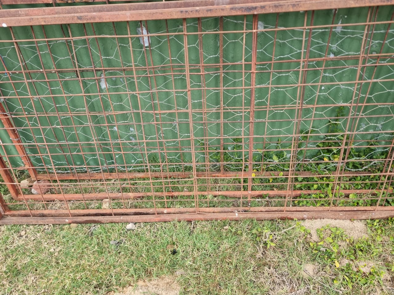Creep Feed Gates for Sheep - Image 4